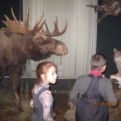 Отдел природы. Иркутский краеведческий музей. Спектакль «Как лесные звери сон искали».